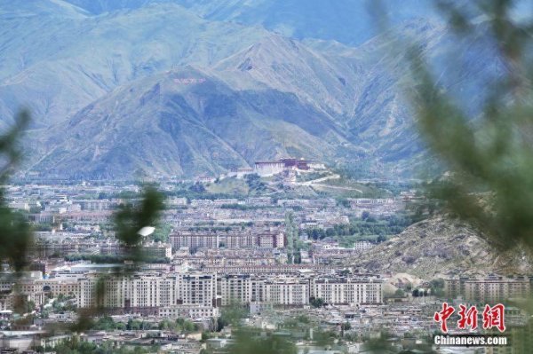 最好的配资官网 （辉煌60载 魅力新西藏）世界屋脊上的“绿色奇迹”：拉萨南北山绿意盎然