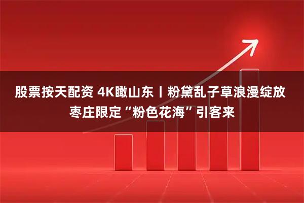 股票按天配资 4K瞰山东丨粉黛乱子草浪漫绽放 枣庄限定“粉色花海”引客来